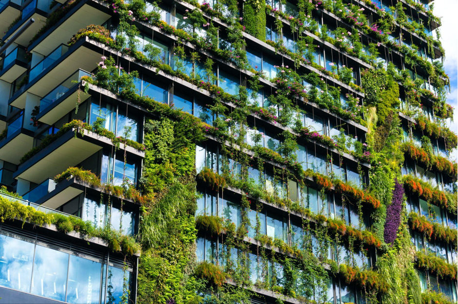 LEED v4 bilan LEED v4.1 o‘rtasidagi farqlar nimalardan iborat?